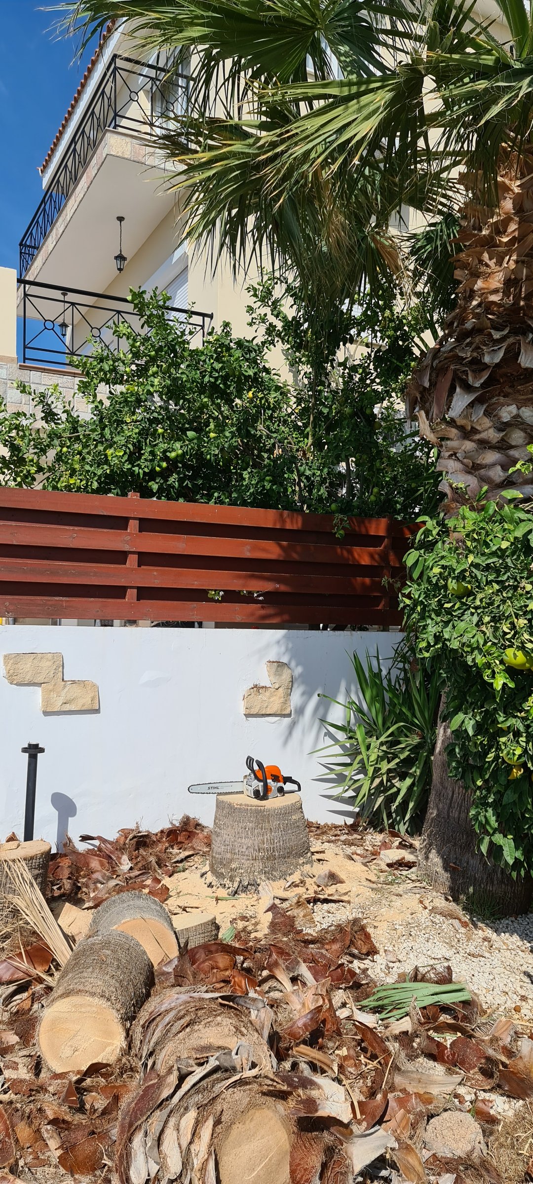 Outdoor garden care service in Paphos by Steve's Home Services | Садовые работы в Пафосе – Steve's Home Services
